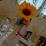 Hotel Fleming Fiuggi
