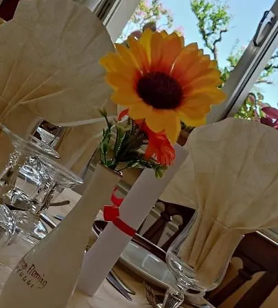 Hotel Fleming Fiuggi